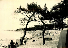 St Brévin Les Pins * La Courance Au Pointeau * Plage * Photo Ancienne Archive éditeur Photographe F. CHAPEAU - Saint-Brevin-les-Pins