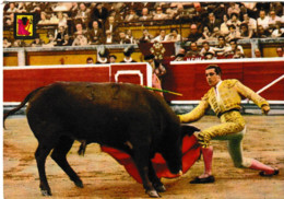 Corrida Un Mutetazo ; Expédiée De Lescun ( Dax , Nimes... - Jeux Régionaux