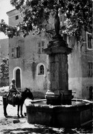 Omessa * La Place Et La Fontaine Du Village * Haute Corse 2B - Autres & Non Classés