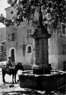 Omessa * La Place Et La Fontaine Du Village * Haute Corse 2B - Andere & Zonder Classificatie