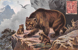 Thème:  Ours.       Carte  Dessinée Par Ferlberg  Ourse  Et Ses Oursons.    (voir Scan) - Bears