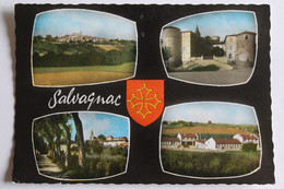 Salvagnac - Multivues - Salvagnac