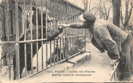 Thème:  Ours.       Paris   75  Jardin Des Plantes Ours Martin Reçoit Sa Récompense    (voir Scan) - Bären