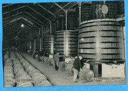 16 - Charente - Cognac - Martell - Hall Des Foudres  (N2748) - Cognac