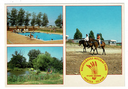 Ref 1444 - 2003 Postcard - Waldegraves Holiday Park - Mersea Island Colchester Essex - Colchester