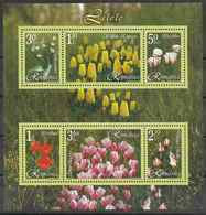 2006 ROUMANIE BF 306** Fleurs, Tulipes - Blokken & Velletjes