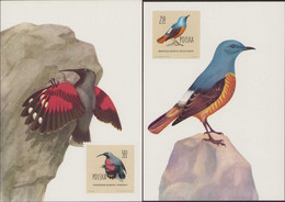 Poland 1960 Maximum Cards - Birds, Common Rock Thrush And Wallcreeper P54 - Cartes Maximum
