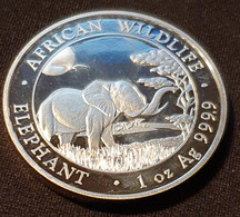 Somalia 100 Shillings 2019  "Elephant" - Somalië