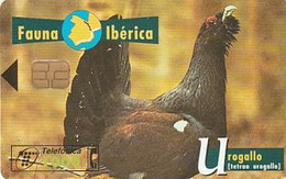 Rare Carte Téléphonique Fauna Ibérica Urogallo 1000 - Otros & Sin Clasificación