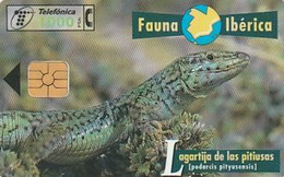 Rare Carte Téléphonique Fauna Lagartija De Las Pitiusas  1000 - Sonstige & Ohne Zuordnung