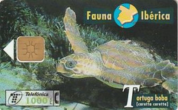 Rare Carte Téléphonique Fauna Tortuga Boba 1000 - Andere & Zonder Classificatie