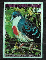 Guinée équatoriale N° 54a Non Dentelé  Oiseaux  Colombe  Neuf  * *   TB = MNH VF   Voir Scans    - Tauben & Flughühner