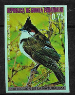 Guinée équatoriale N° 54e Non Dentelé Oiseaux  Bulbul D'Orphée I   Neuf  * *   TB = MNH VF   Voir Scans    - Picchio & Uccelli Scalatori