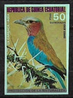 Guinée équatoriale PA N° 39 Non Dentelé Oiseaux  Caracara  Neuf  * *   TB = MNH VF Voir Scans    - Picchio & Uccelli Scalatori