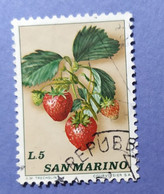 1973 - REPUBBLICA SAN MARINO -  FRUTTA  -   VALORE  LIRE  5 - USATO - Oblitérés