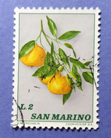 1973 - REPUBBLICA SAN MARINO -  FRUTTA  -   VALORE  LIRE  2 - USATO - Oblitérés