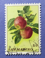 1973 - REPUBBLICA SAN MARINO -  FRUTTA  -   VALORE  LIRE  3 - USATO - Oblitérés