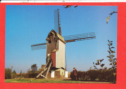 59 STEENVOORDE Cp Animée Le Moulin    C 13 ARAM - Steenvoorde