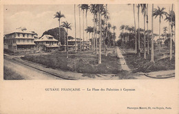 Delcampe - Guyane - La Place Des Palmistes à Cayenne - Cayenne
