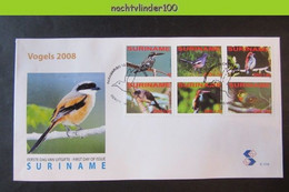 Ngb318fb FAUNA VOGELS IJSVOGEL KINGFISHER BIRDS VÖGEL AVES OISEAUX SURINAME 2008 FDC - Other