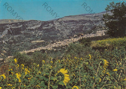 CARTOLINA  CARAMANICO TERME, PESCARA,ABRUZZO, M.700 S.m.,PANORAMA, VIAGGIATA 1990 - Pescara