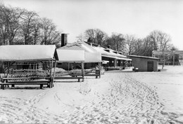 DC3894 - Ak Greiz HO Gaststätte Waldhaus - Greiz