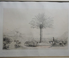Disegno Napoli: Veduta Da Capodimonte A S.Elmo Di A. Gerard 1851 (D66) Come Da Foto Con Leggera Coloritura  Passapartout - Dessins