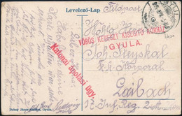 1915 Tábori Posta Levelezőlap "VÖRÖS KERESZT KISEGITŐ KÓRHÁZ GYULA", "KATONA ÁPOLÁSI ÜGY", "GYULA" - Laibach (Ljubljana) - Sonstige & Ohne Zuordnung