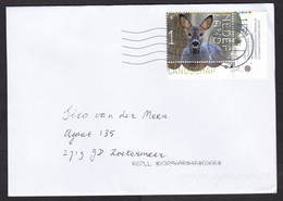 Netherlands: Cover, 2021, 1 Stamp + Tab, Roe Deer, Animal (traces Of Use) - Cartas