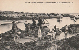 LE  CROISIC - Débarquement De La Sardine à Port-Lin - Le Croisic