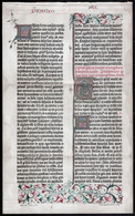 Cca 1900 Gutenberg Kódex Facsimila A Meyers Lexikonból 24x39 Cm - Unclassified