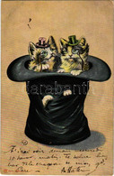 T2/T3 1903 Cats In A Hat. Serie Mieze. 411. Litho (EK) - Non Classificati