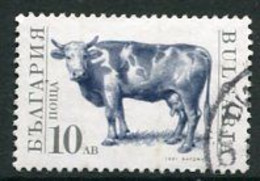 BULGARIA 1991  Domestic Livestock 10 L. Used.  Michel 3885 - Usati