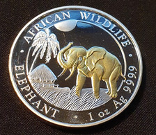 Somalia 100 Shillings 2017 (Gilded) "Elephant" - Somalie