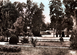 5829 Carte Postale OYONNAX Parc De L'Hôtel De Ville        (scan Recto-verso) 01 Ain - Oyonnax