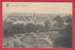 Doische - Joli Panorama ... De La Localité ( Voir Verso ) - Doische