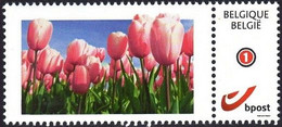 DUOSTAMP** / MY STAMP**  - Tulipes / Tulpen / Tulips - Postfris