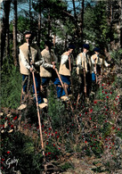 Arcachon * Guyenne Et Gascogne * Groupe Folklorique TOUT POUR LA PATRIE * échassiers Dans La Forêt * échasses - Arcachon