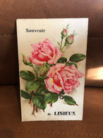 Lisieux * Carte à Système Ancienne Complète * Fleurs Roses * Fermoir Métal Ancien - Lisieux