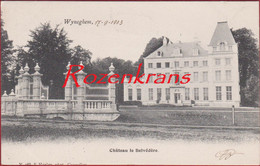 Wijnegem Wyneghem 1903 Chateau Kasteel Le Belvedere Nr. 988 Hoelen Cappellen Stempel Zevenbergen (In Zeer Goede Staat) - Wijnegem
