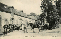 Lisieux * Le Haras * Chevaux Hippisme équitation - Lisieux