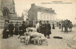 Pont L'évêque * Un Coin Du Marché Au Mouton * Café Restaurant * Attelage - Pont-l'Evèque