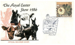 (EE 25) Australia Cover With Postmarks - 1985 - Flowers - Royal Easter Show - Landbouw