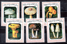 Afganistán Serie Año 1999 ** SETAS (MUSHROOM) - Afghanistan