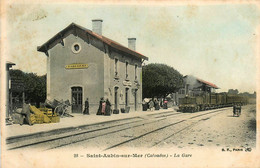 St Aubin Sur Mer * Vue Sur La Gare * Train Locomotive * Ligne Chemin De Fer Du Calvados - Saint Aubin