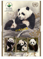 United Nations 2019 M/S World Stamp Philatelic Exhibition China Wuhan City Panda Animals Fauna Mammals Big Cat MNH - Neufs