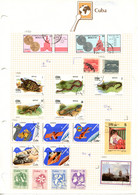 CUBA - Approx 300 Stamps Hinged On Pages And 130 Stamps And A Miniature Sheet On Stockcards. STARTER COLLECTION. - Colecciones & Series