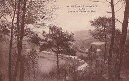 GUEMENE-PENFAO - Vue De La Vallée Du Don.Circ - Guémené-Penfao