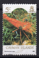 Cayman Islands 1986 Marine Life Definitives 5c Value, Used, SG 635 (WI2) - Cayman Islands