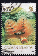 Cayman Islands 1986 Marine Life Definitives 25c Value, Used, SG 639 (WI2) - Cayman Islands